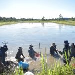 Emapa invita a productores a adquirir alevines de alta calidad en Cochabamba
