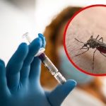 Sube a tres la cifra de fallecidos por fiebre amarilla en Santa Cruz, hay 10 casos sospechosos