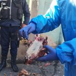 El Alto: Activan investigación por hallazgo de restos óseos presuntamente de canes en Rio Seco