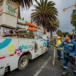 Fuertes vientos provocan caída de árboles en Cochabamba y movilizan a equipos de emergencia