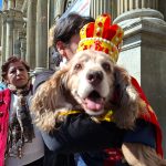 En la festividad de San Roque instan a la tenencia responsable para evitar el abandono de mascotas