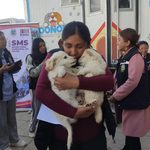 Alcaldía de El Alto promueve adopción responsable de animales rescatados