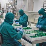Seis plantas de INTI revalidan su certificación de Buenas Prácticas de Manufactura tras más de 20 años de cumplimiento